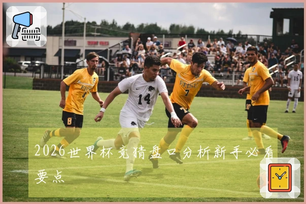 2026世界杯竞猜盘口分析新手必看要点