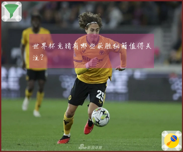 世界杯竞猜有哪些获胜秘籍值得关注？