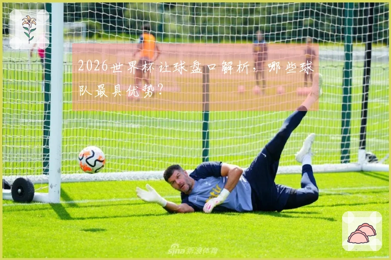 2026世界杯让球盘口解析，哪些球队最具优势？