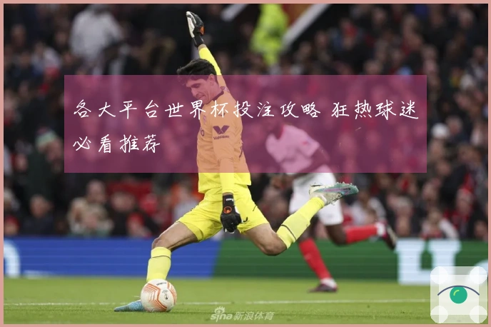 各大平台世界杯投注攻略 狂热球迷必看推荐